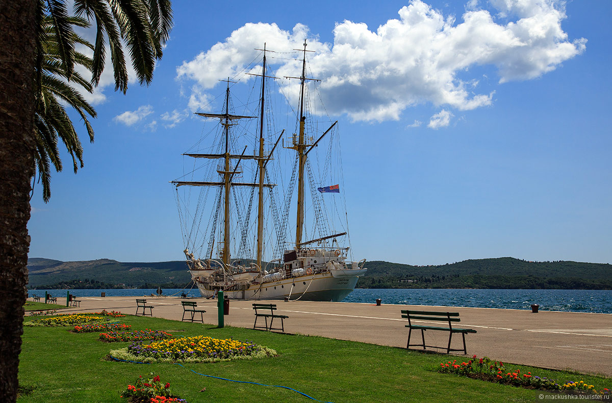 Tivat